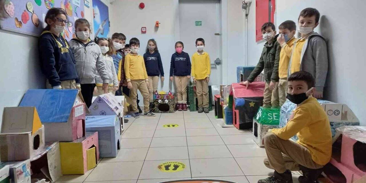 Minikler kedileri "ev"lendirdi