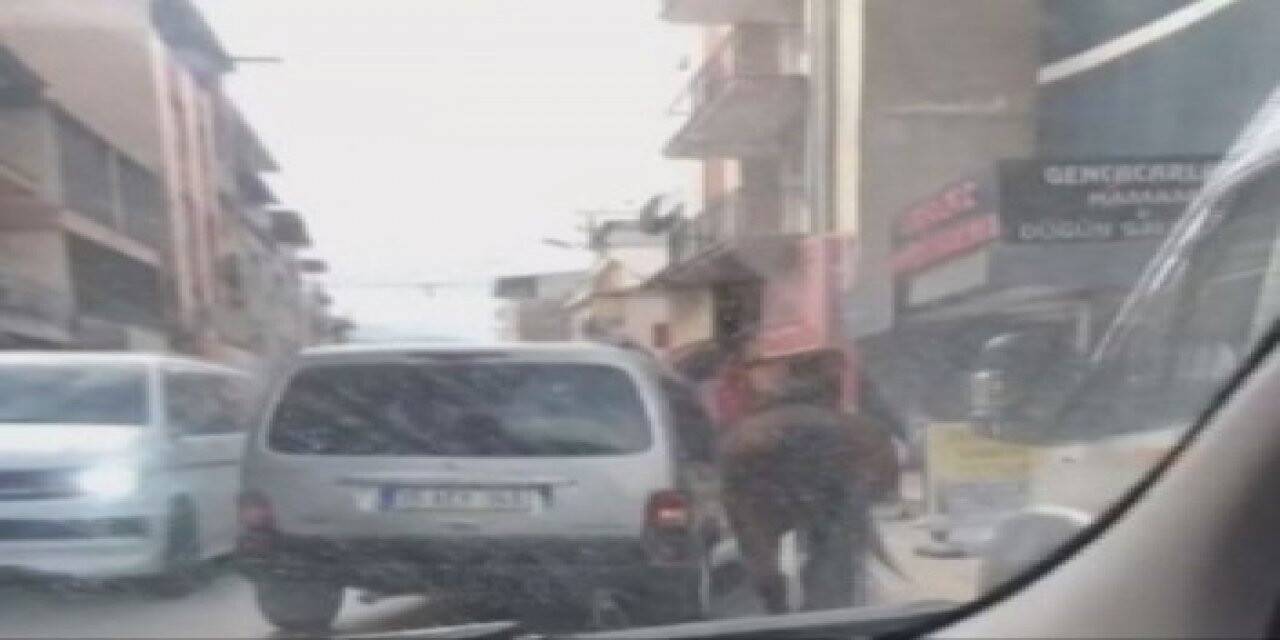 Atı iple aracın arkasına bağlayıp yürüttü, şikayet üzerine gözaltına alındı