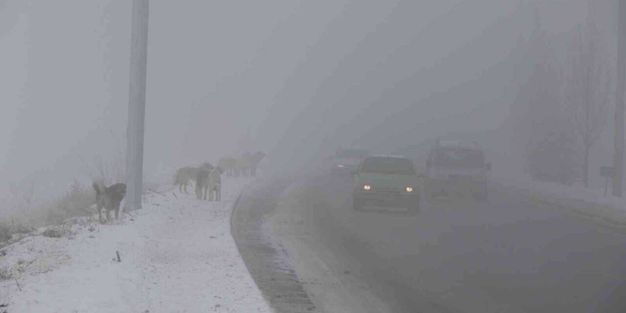 Erzincan’ı sis, pus, kırağı sardı