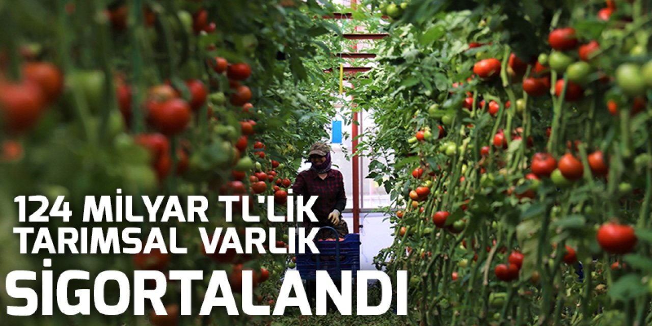 Türkiye'de 2021 yılında 124 milyar TL'lik tarımsal varlık sigortalandı
