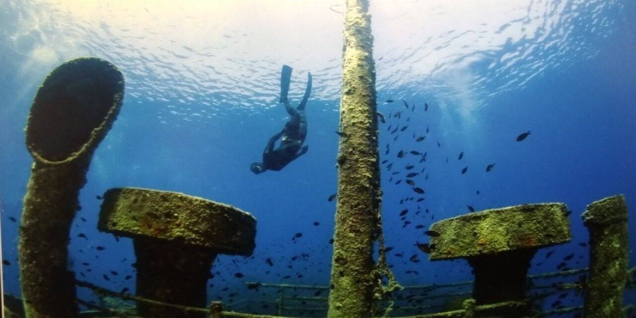 "Kaptanın Seyir Defteri" fotoğraf sergisi açıldı