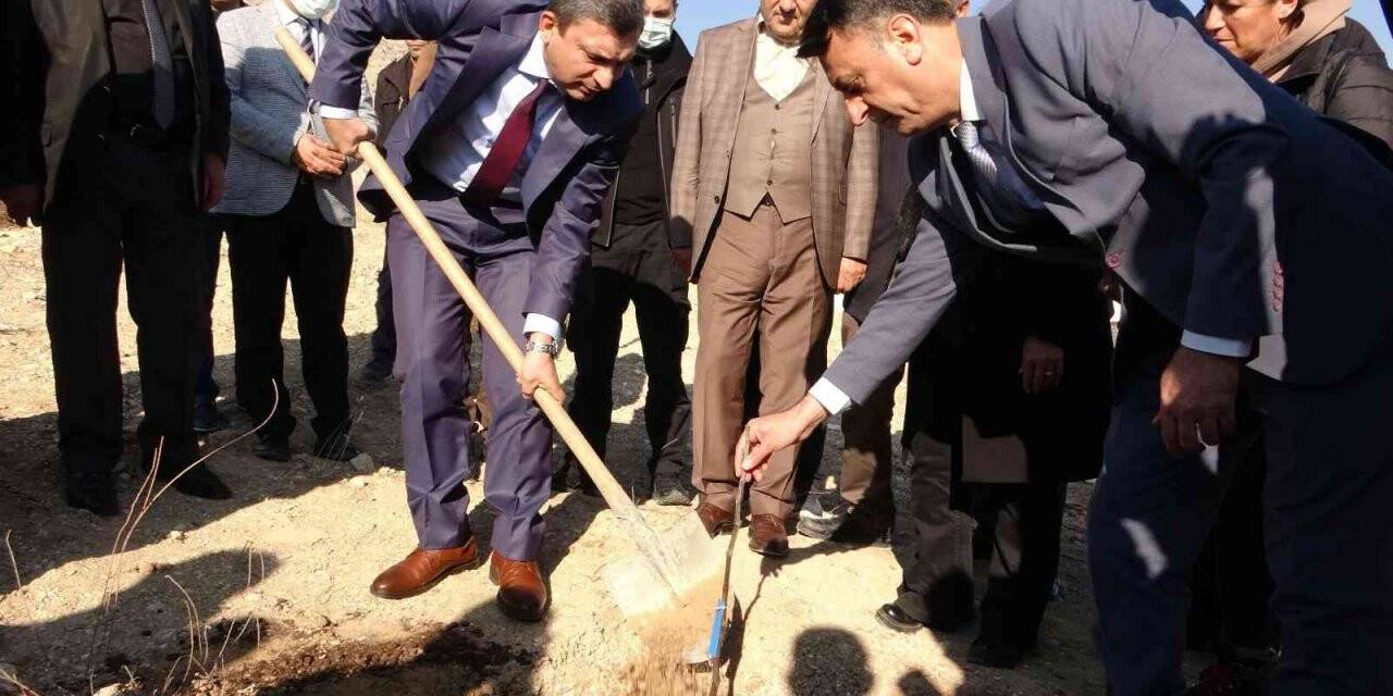 Aydın inciri Hasankeyf’te yemiş verecek