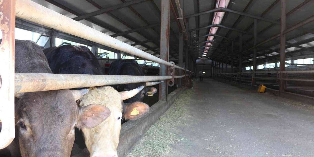 Erzurum’a 42 milyon hibe desteği