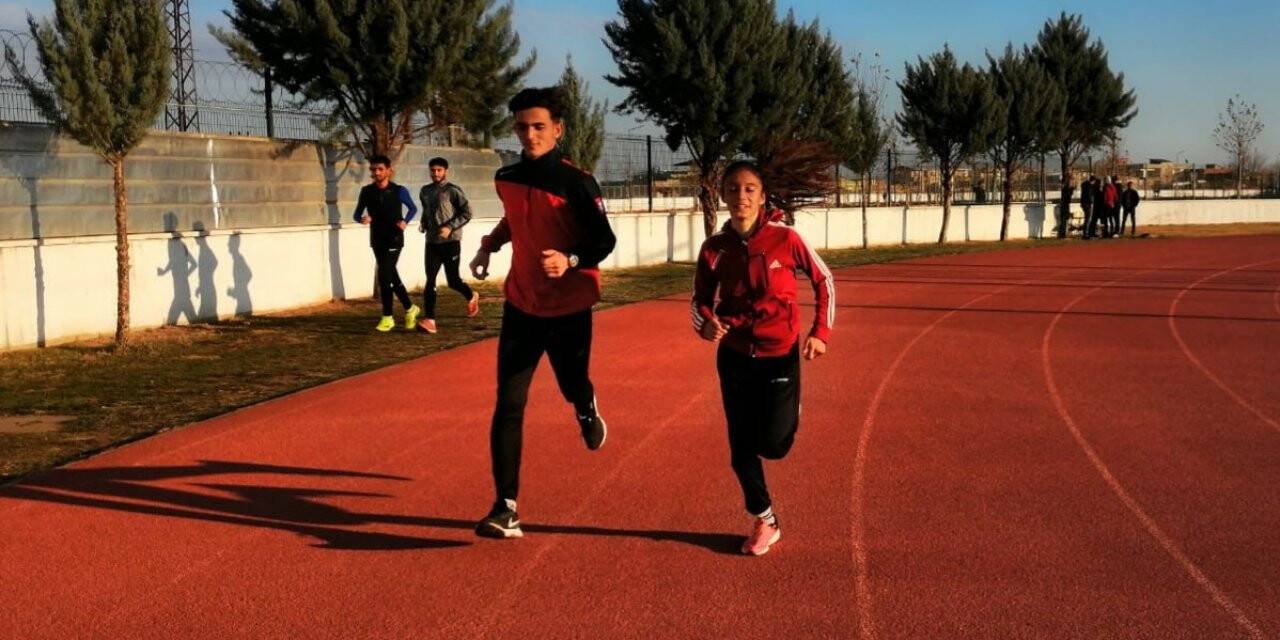Yenişehirli sporcular milli takım yolunda