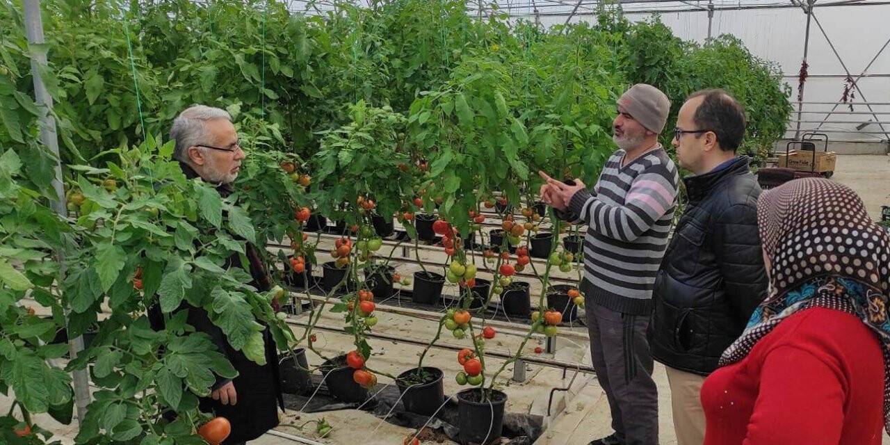 Jeotermal kaynaklı seralarda dönem kontrolleri