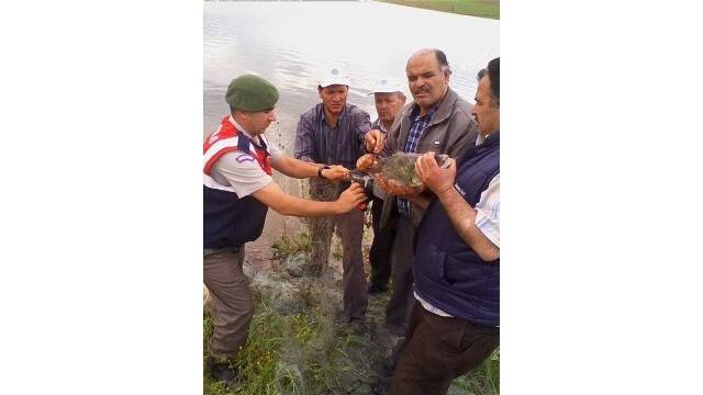 KAÇAK AVLANAN BALIKLARIN SATIŞINA 959 LİRALIK CEZA