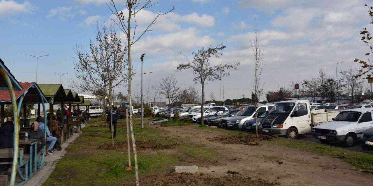 Yunusemre Belediyesinden Manisa CBÜ Hafsa Sultan Hastanesinde ağaçlandırma