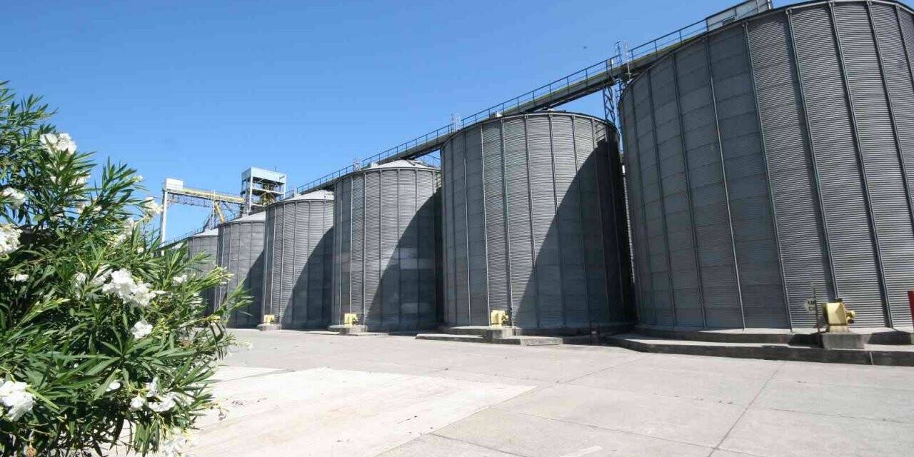 TMO’dan ekmek zammına karşı hamle: 1 milyon 220 bin ton hububatı 2021 fiyatıyla satacak