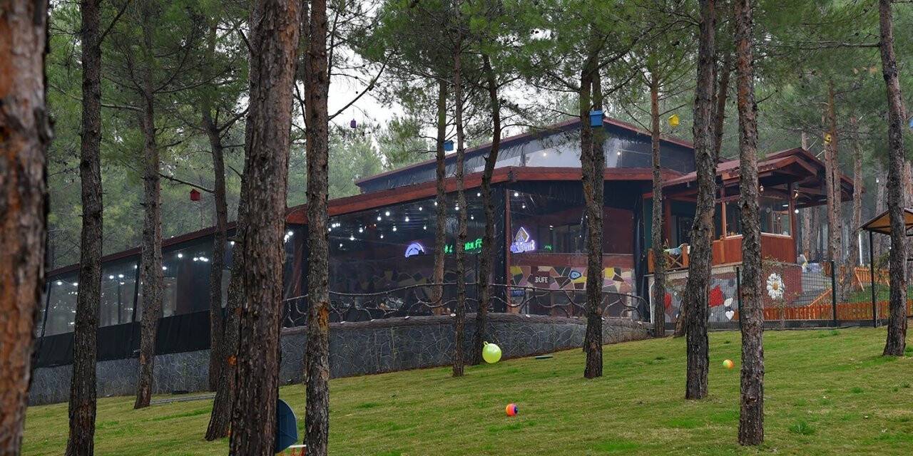 Heyecan Kafeye yoğun ilgi