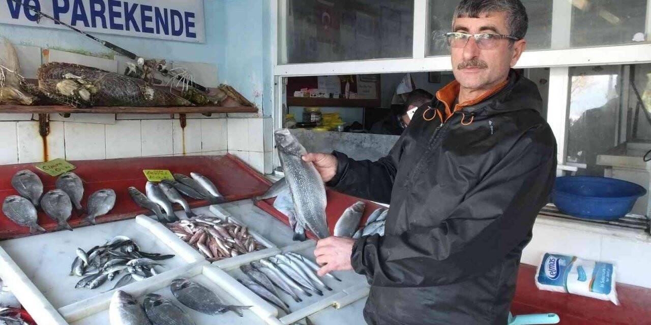 Burhaniye’de balıklar kooperatifle değerlendi