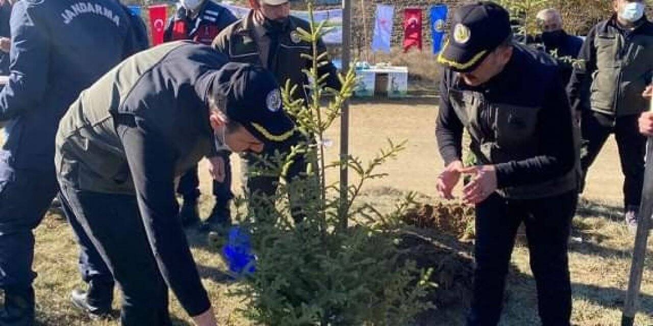 Bolu’da bin fidan toprakla buluşturuldu