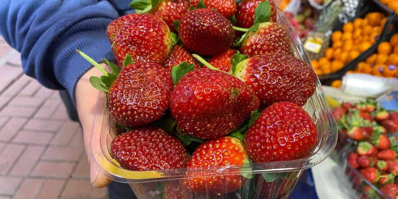 Çilek tezgahlarda yerini aldı, en çok ilgi gösteren pastahaneler oldu
