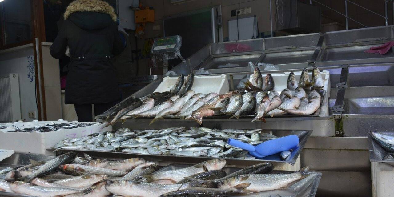 Karadeniz’de bu sezon hamsi yüz güldürdü