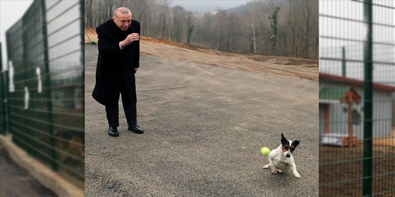 Cumhurbaşkanı Erdoğan, Beykoz Belediyesi Hayvan Rehabilitasyon Merkezini ziyaret etti