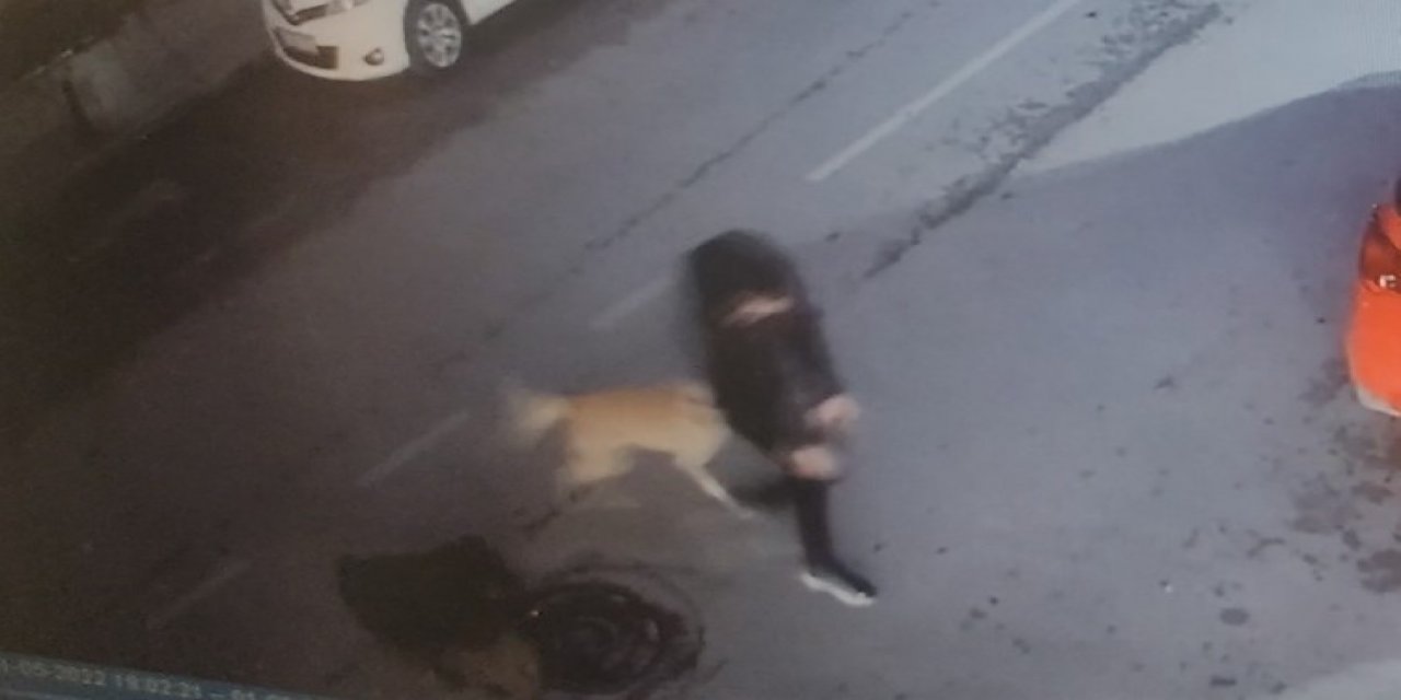 5 sokak köpeği yolda yürüyen çocuğa saldırdı
