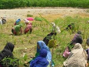 İLO Dünyadaki Göçmen Sayısını Açıkladı