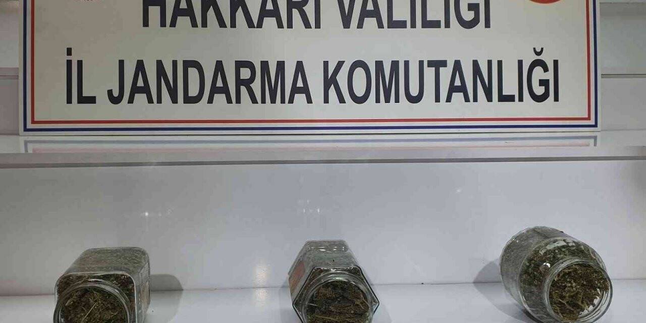 Yüksekova kırsalında 2 kilo 530 gram  kubar esrar ele geçirildi
