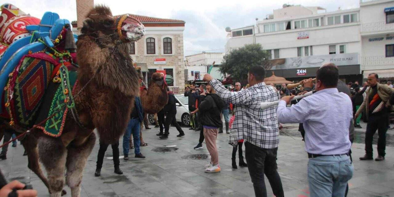 Develeri gören telefona sarıldı