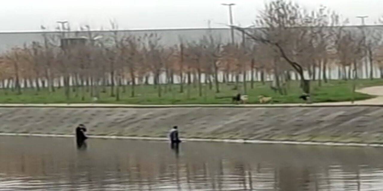 Köpeklerin korkusundan dereye kaçtılar, köpekler çıkmalarını bekledi