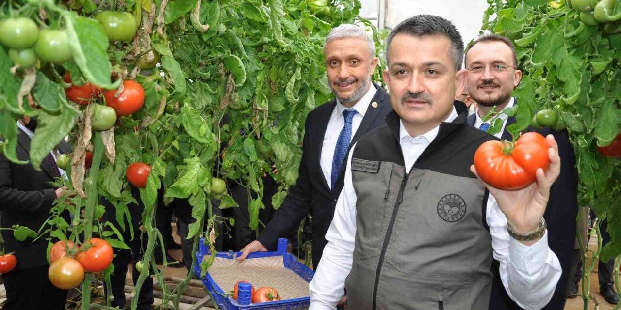 Bakan Pakdemirli: "Seracılık hızlı bir şekilde büyüyor"