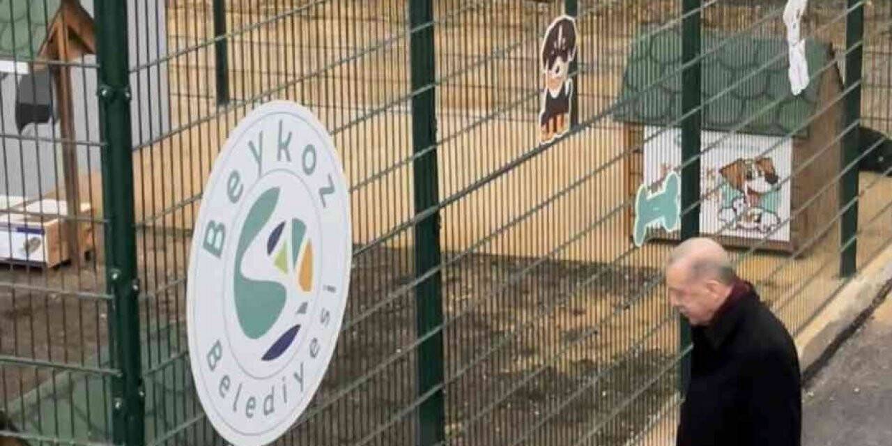 Cumhurbaşkanı Erdoğan, Beykoz hayvan barınağını ziyaret etti