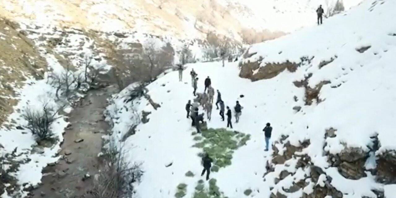 Tunceli’de doğaya yem bırakıldı, dağ keçileri akın etti