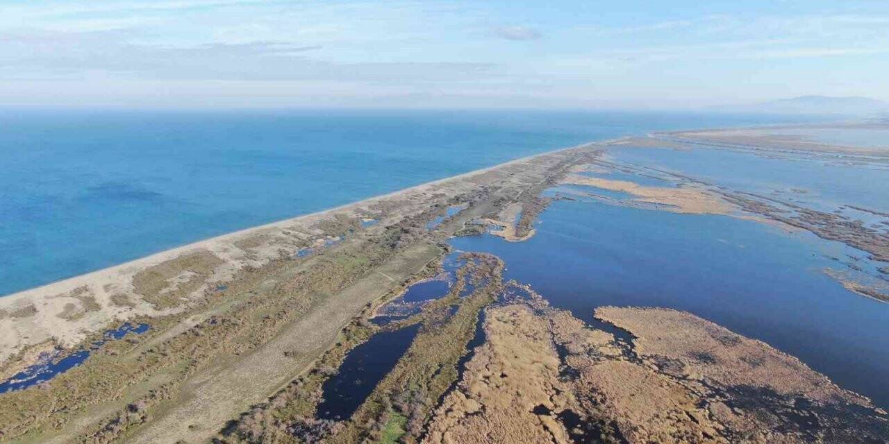 Karacabey longoz ormanları suyla buluşmaya başladı