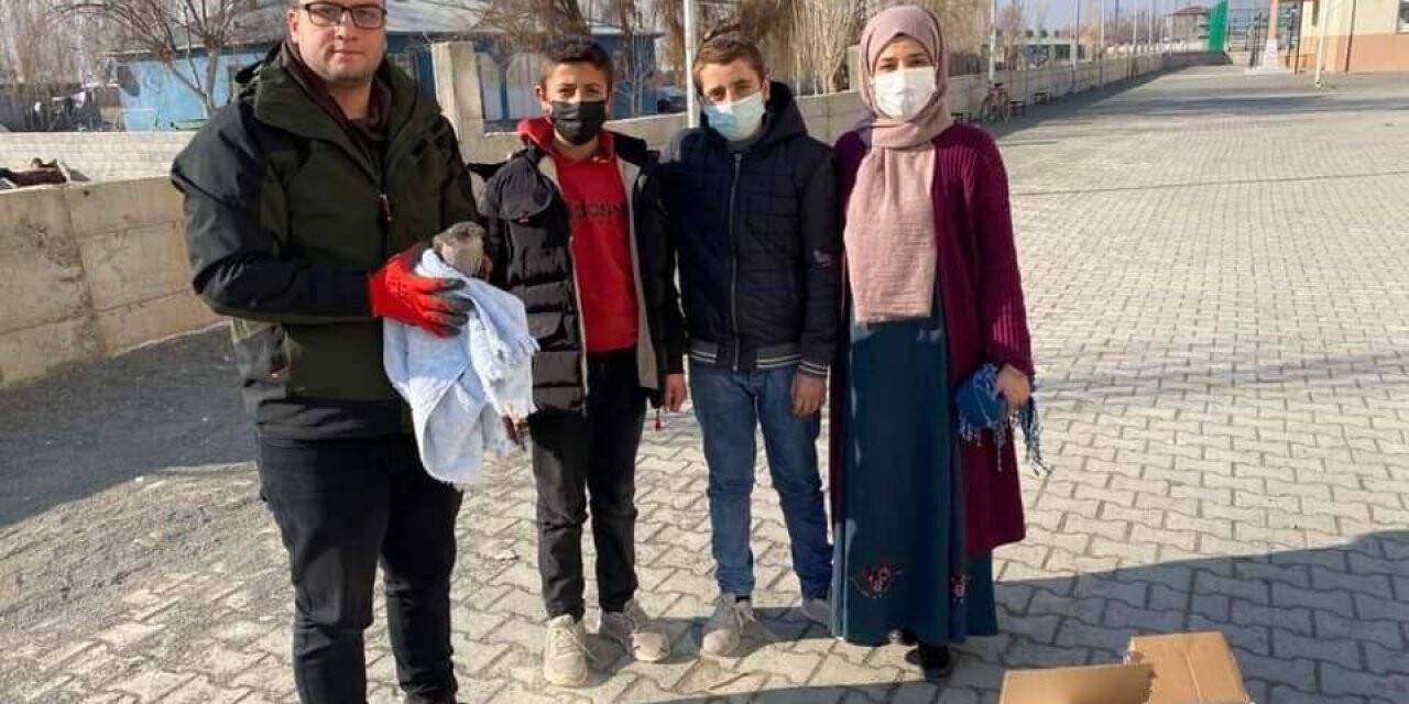 Yaralı halde bulunan atmaca tedavi altına alındı