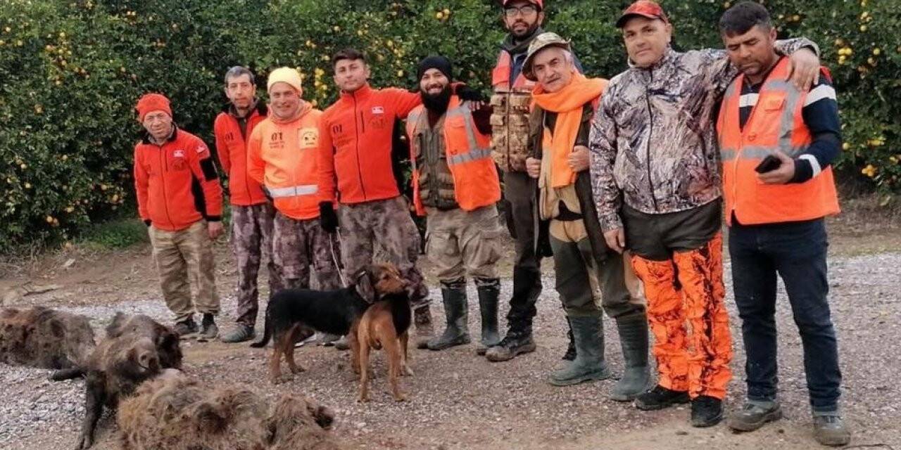 Domuzlardan bıkan üreticiler, avcılardan yardım istedi