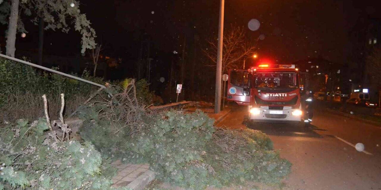 Çorlu’da kuvvetli fırtına: Ağaçlar devrildi, çatılar uçtu, direkler devrildi