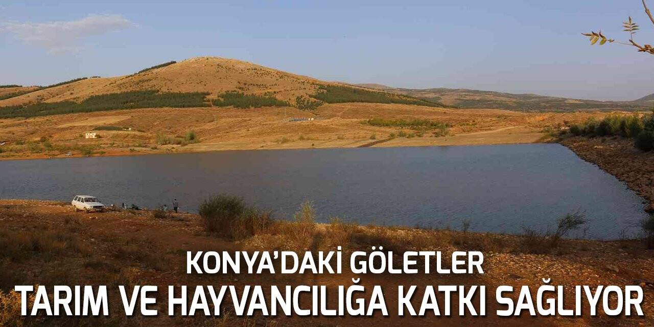 Konya’daki göletler tarım ve hayvancılığa katkı sağlıyor