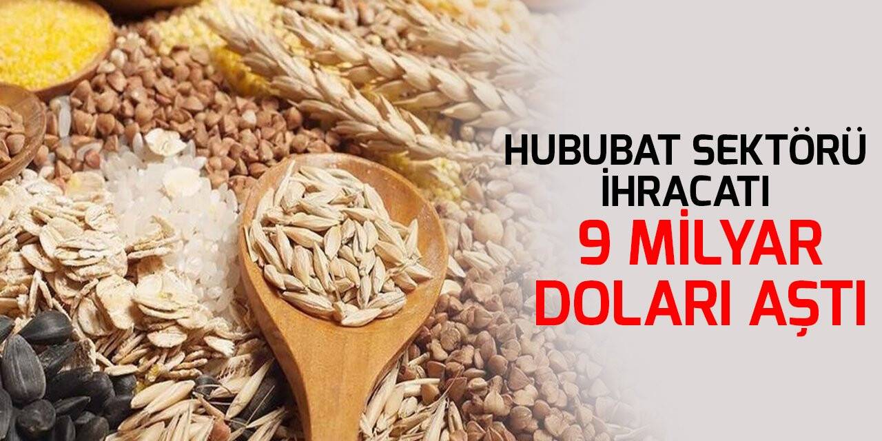 Hububat sektörü ihracatı 9 milyar doları aştı