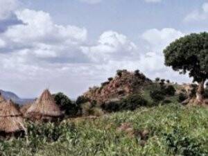 Kamerun'da Kolera Salgınında 2 Kişi Öldü