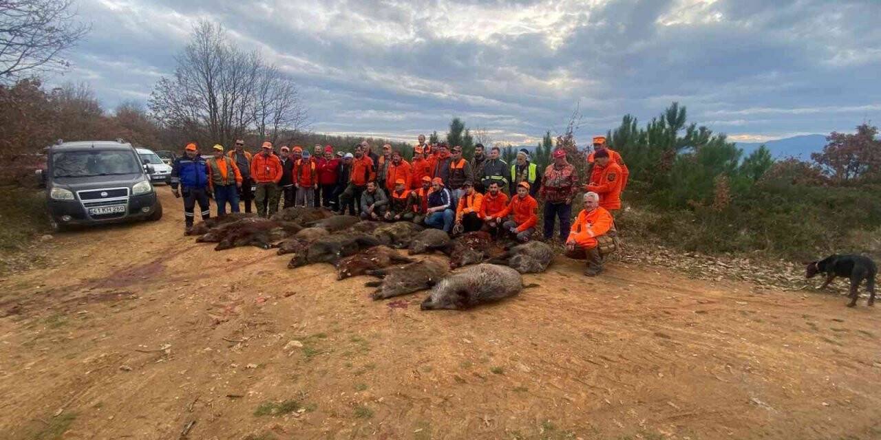 Ekinlere zarar veren 33 domuz bir günde vuruldu