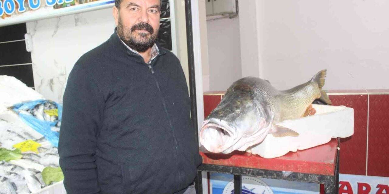 Atatürk Barajında dev turna balığı yakalandı