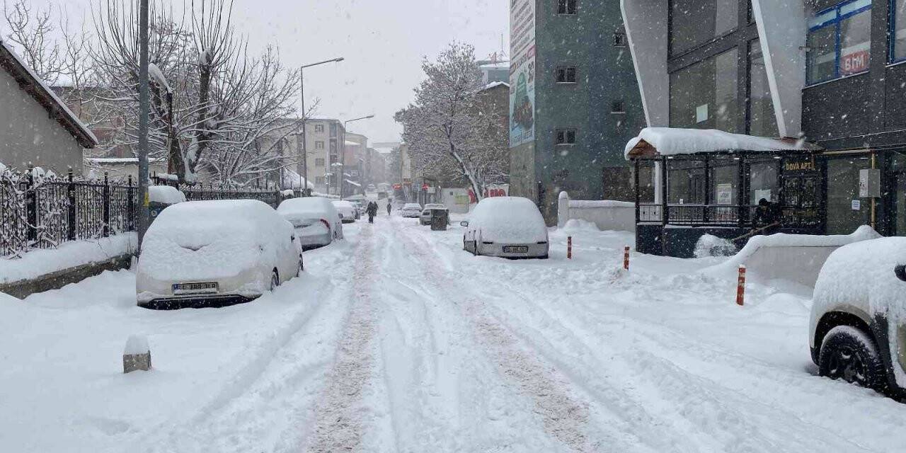 Muş’ta 261 köy yolu ulaşıma kapandı