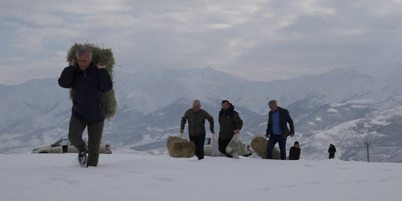 Bingöl’de yaban hayvanları için karla kaplı dağlara yem bırakıldı