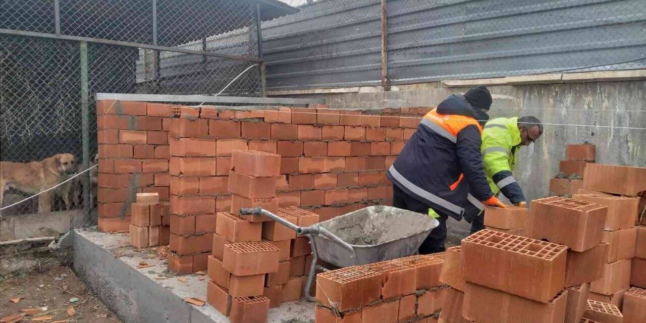 Pursaklar Hayvan Barınağı’nda iyileştirme ve kapasite artırım çalışmaları