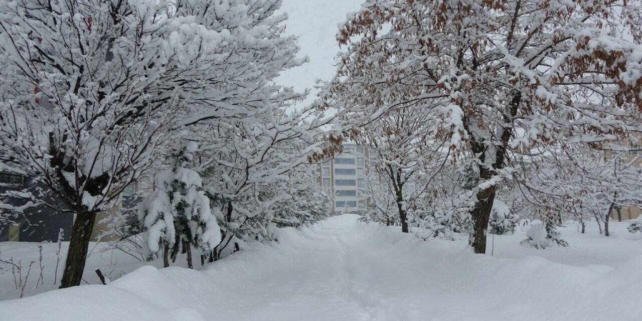 Bitlis’te 203 köy yolu ulaşıma kapandı