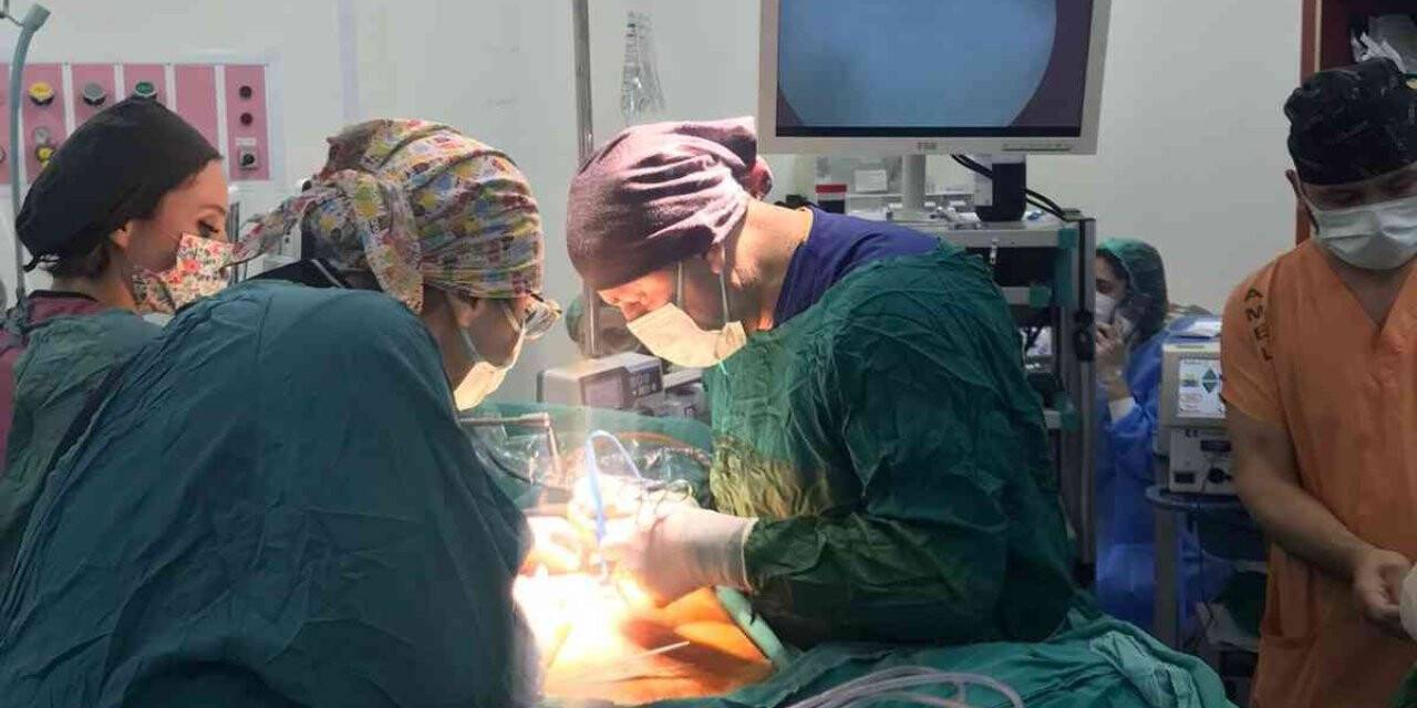 Dr. Taşdöven, "Tüp mide ameliyatı diyabet, kolesterol, yüksek tansiyonun gerilemesine yardımcı oluyor"