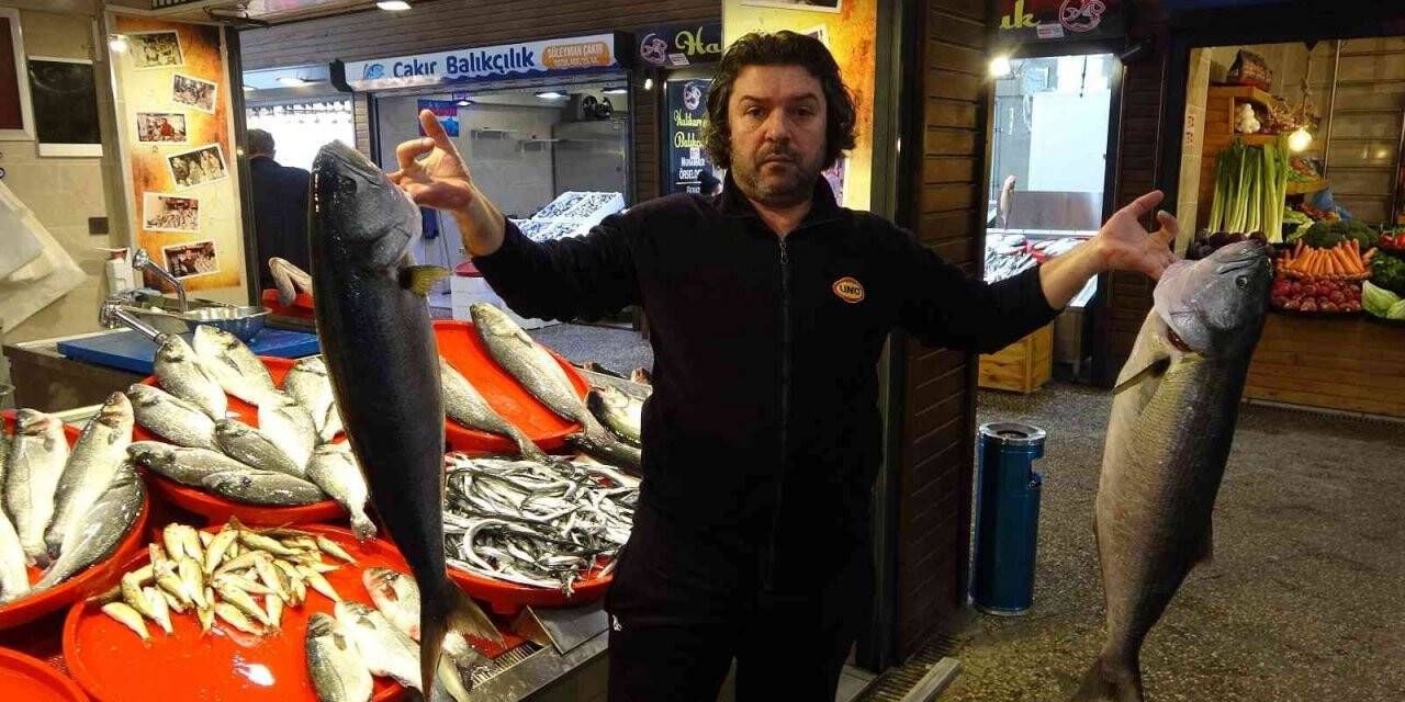 Hamsi yok ama balık halinin kralı çifte kofanalar oldu