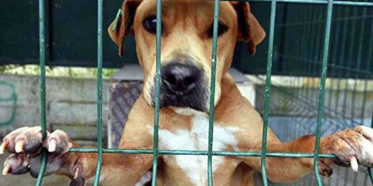 Fethiye Belediyesi’nden örnek uygulama