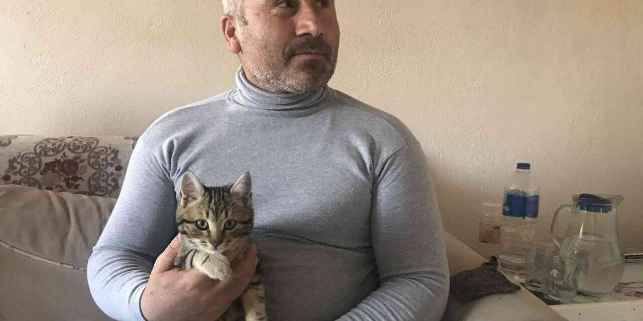 Kendisini belgesele kaptıran kedinin verdiği tepki izleyenleri güldürdü