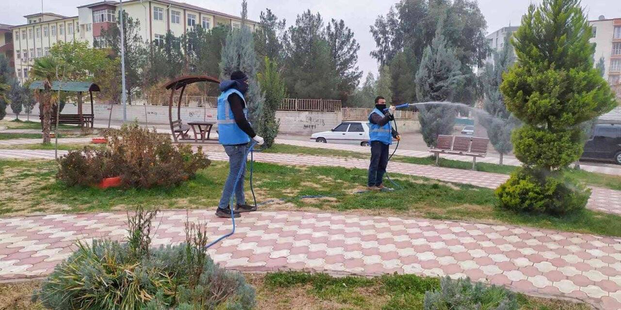 Suriye sınırında şark çıbanı alarmı