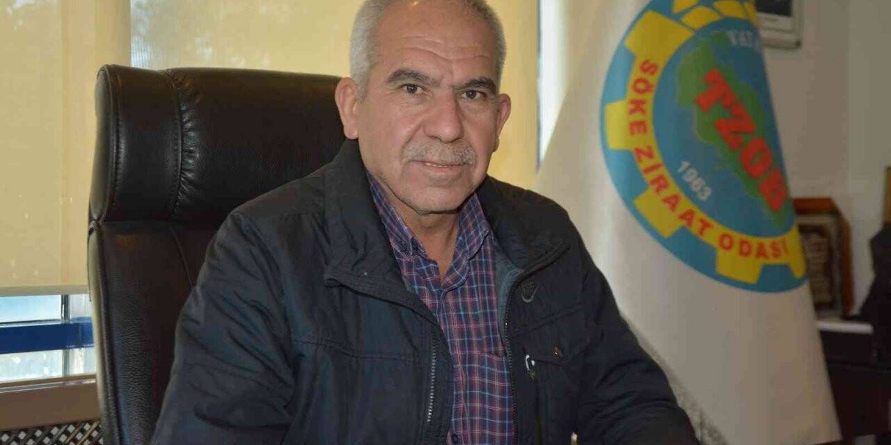 Söke Ziraat Odası; “Yağışlarla umudumuz yeniden yeşerdi”