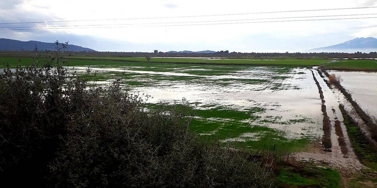 Söke’de yağışlar yaklaşık 2 bin 500 dönüm araziyi sular altında bıraktı