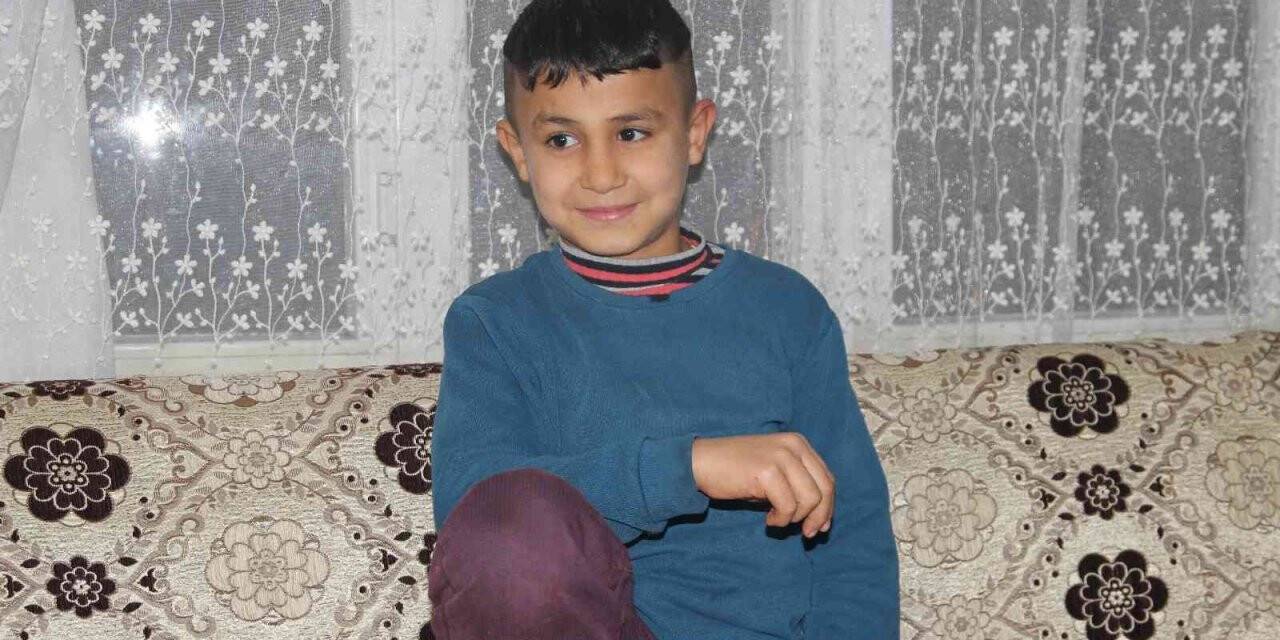 Köpeklerin korkusundan direğe çıkan çocuk: "Bana saldırırlar diye korktum"