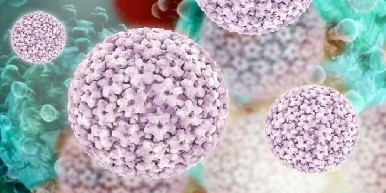 100 kadından 98’i HPV virüsü ile karşı karşıya