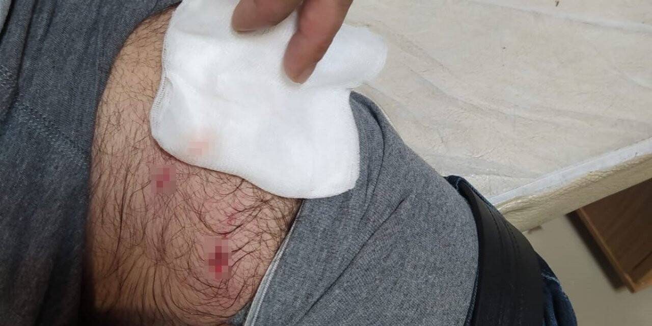 Bingöl’de köpek sürüsü, evine giden adama saldırdı