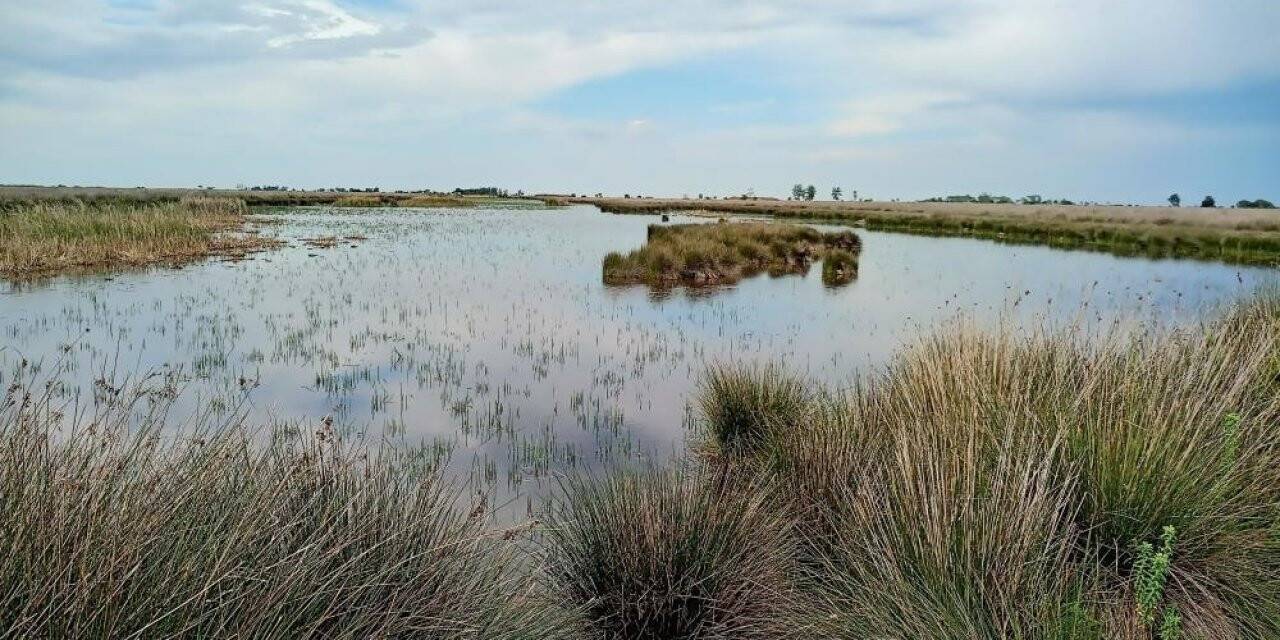 Tabiat parkları ve sulak olanlara olan ilgi arttı